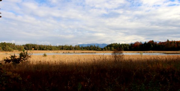 Lustsee