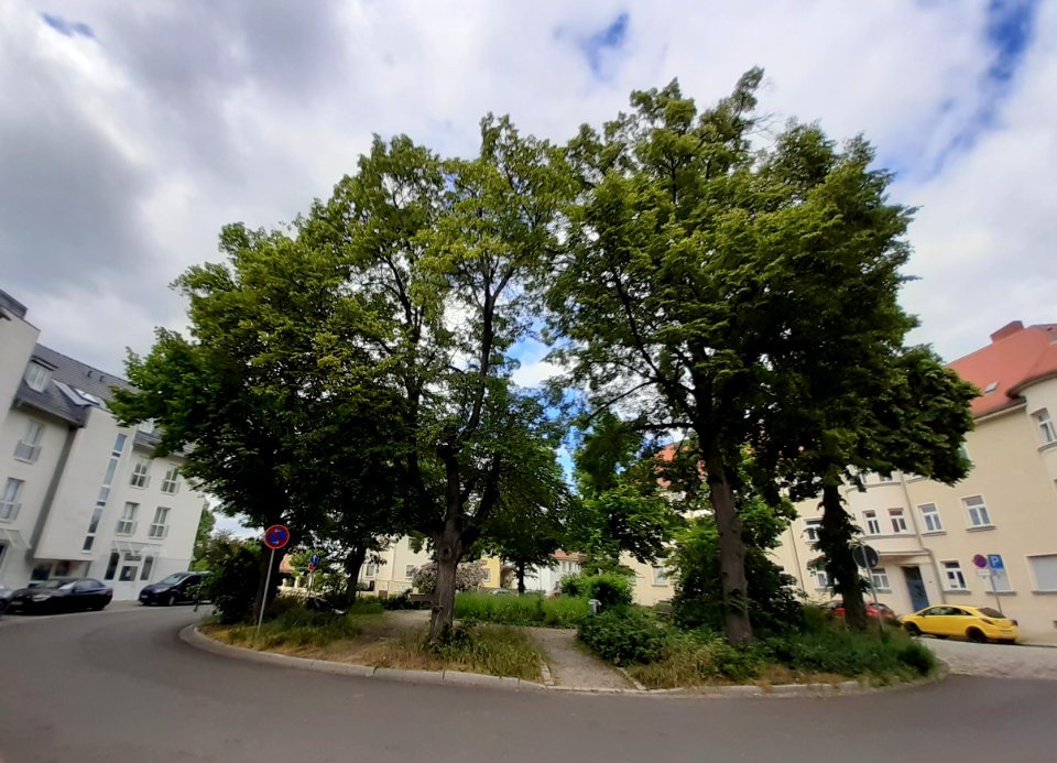 Lutherplatz Weißenfels (1)