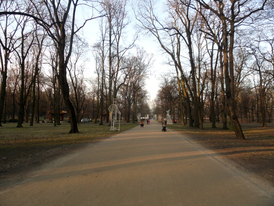 Luty 2019 Łazienki, 10