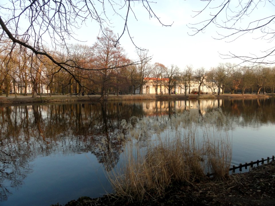 Luty 2019 Łazienki, 13