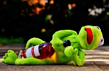 Drink alcohol drunk