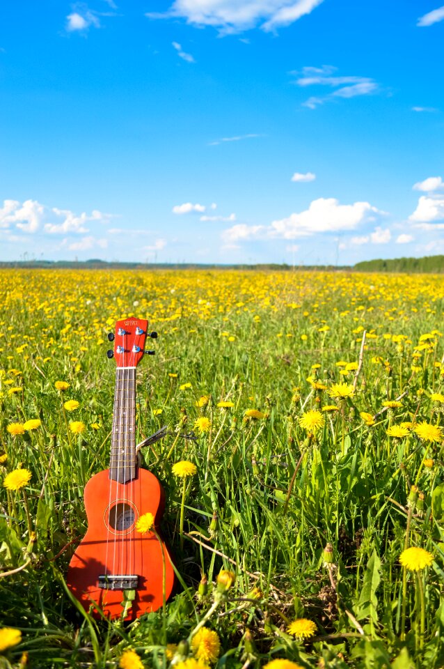 Sky summer ukulele