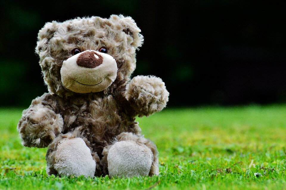 Teddy bear cute child