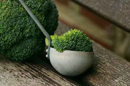 Cook nutrition fresh