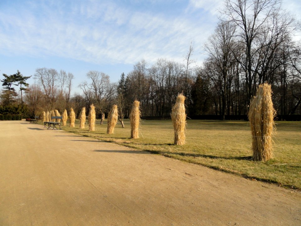 Luty 2019 Łazienki, 49