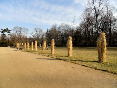 Luty 2019 Łazienki, 49