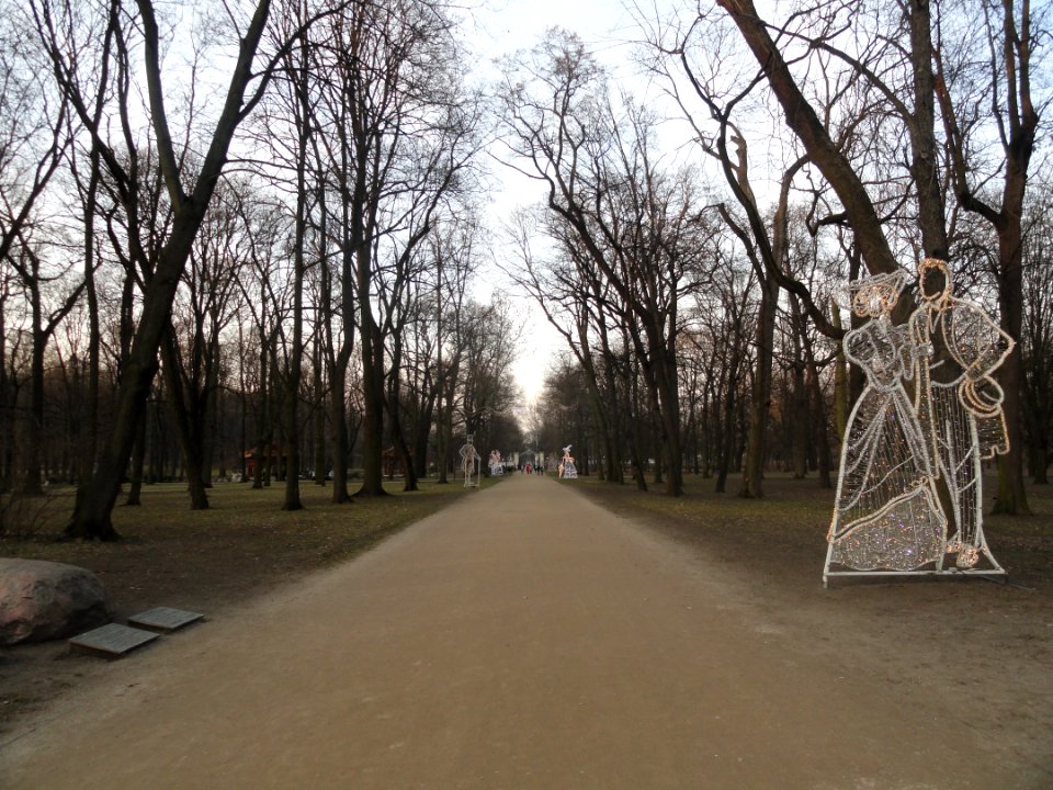 Luty 2019 Łazienki, 28