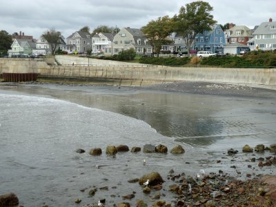 Lynn Massachusetts view of houses and beach low tide from park