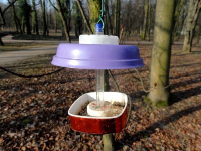 Luty 2019 Łazienki, 37