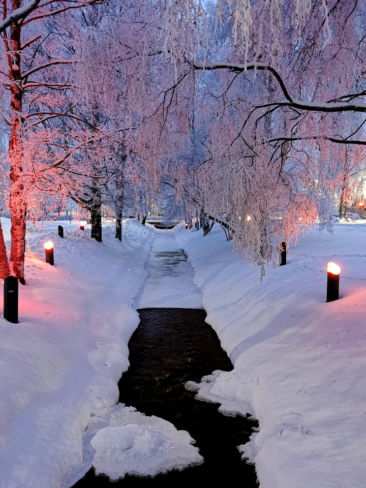 Lyötynpuisto Oulu 20210212