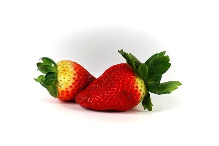 Red fruits eat red