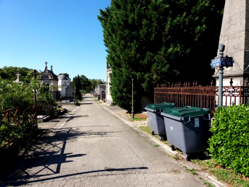 Lyon - Cimetière de Loyasse - Allée 10 section nord