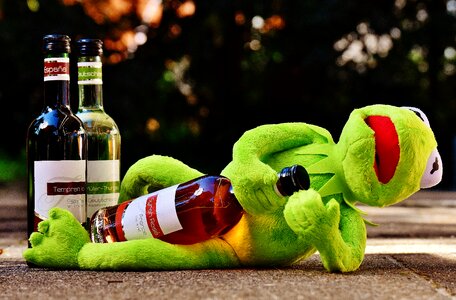 Drink alcohol drunk