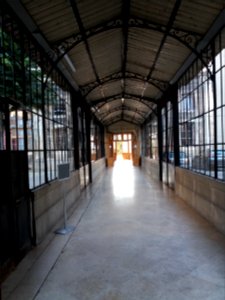 Lycée de Saint-Just de Lyon - Verrière - Intérieur