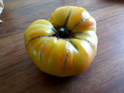 Lyon - Tomate ananas bio