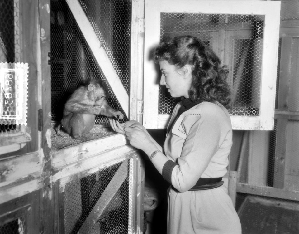 Lya Speel in proces over prive dierentuin Haarlem, Bestanddeelnr 906-8483