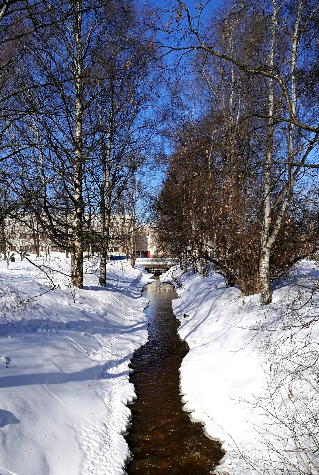 Lyötynpuisto Oulu 20180404