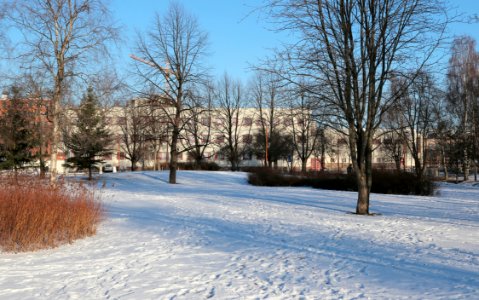 Lyötynpuisto Oulu 20200404 01