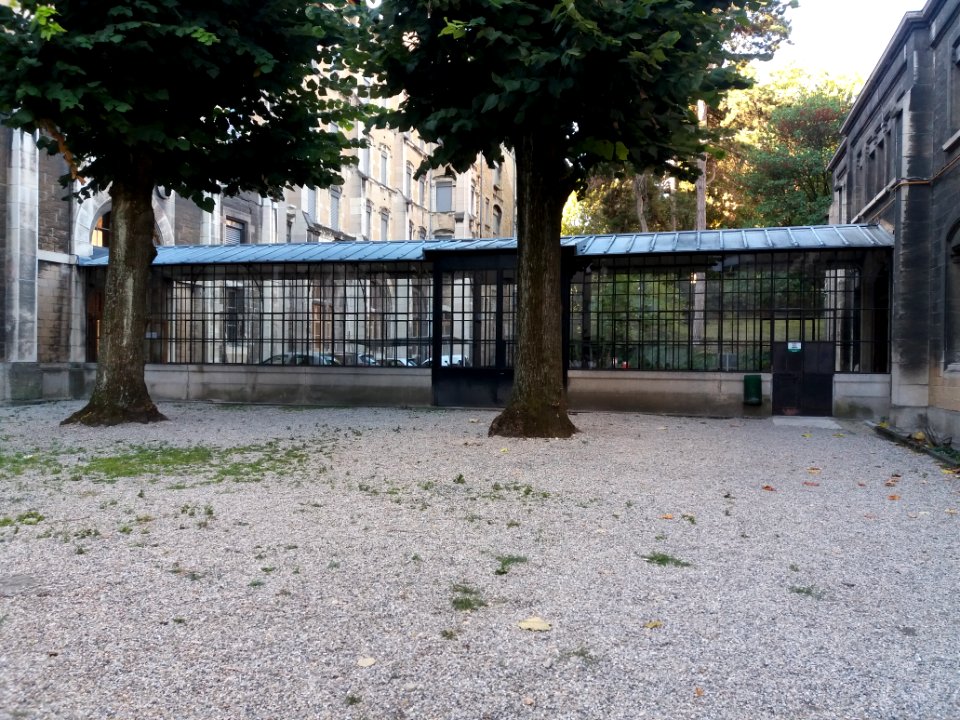 Lycée de Saint-Just de Lyon - Verrière vue depuis la cour