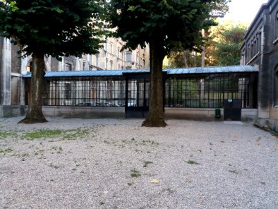 Lycée de Saint-Just de Lyon - Verrière vue depuis la cour