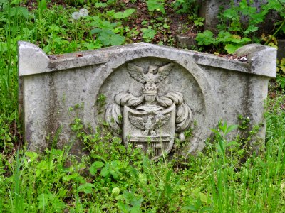Lychakiv Cemetery 30