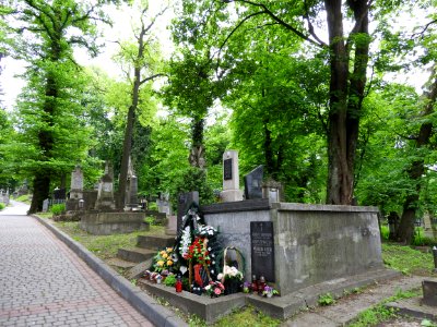 Lychakiv Cemetery 25