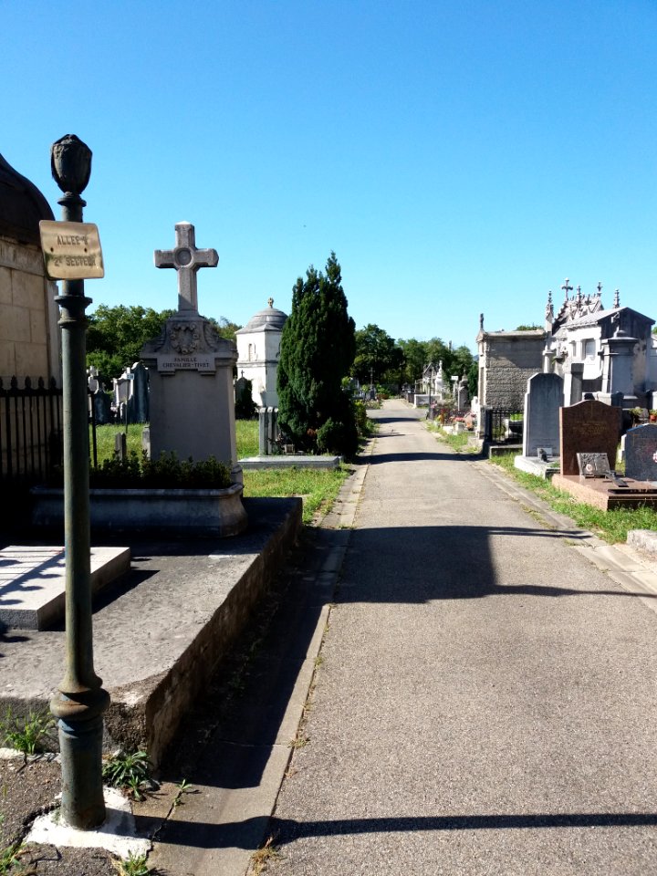 Lyon - Cimetière de Loyasse - Allée 9
