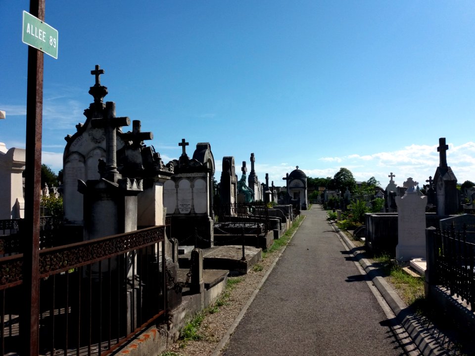 Lyon - Cimetière Loyasse - Allée 89