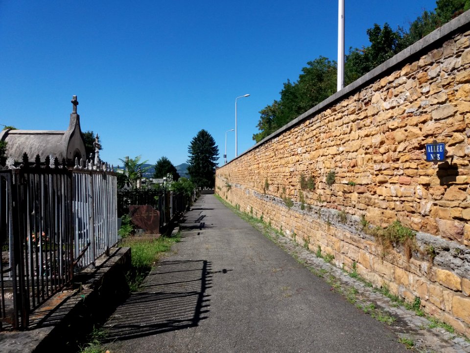 Lyon - Cimetière de Loyasse - Allée 3 vers le nord