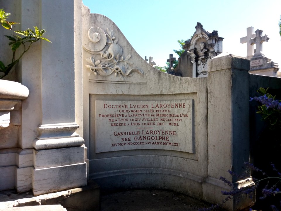 Lyon - Cimetière de Loyasse - Allée 17 - Tombe de Lucien Pierre Laroyenne - Plaque Docteur Lucien Laroyenne Chirurgien des Hôpitaux - 1876-1950