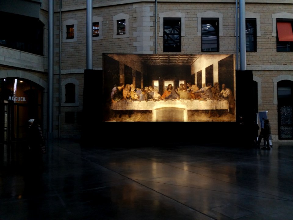 Lyon 2e - Campus Saint-Paul, exposition Leonardo "Opera Omnia" (1)