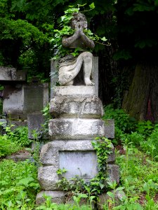 Lychakiv Cemetery 29