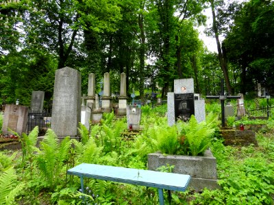 Lychakiv Cemetery 32