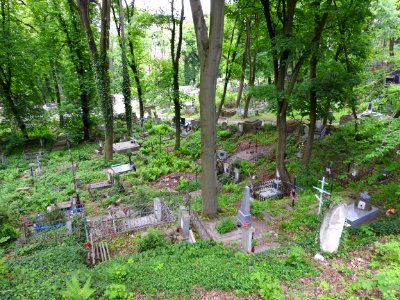 Lychakiv Cemetery 02
