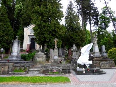 Lychakiv Cemetery 21