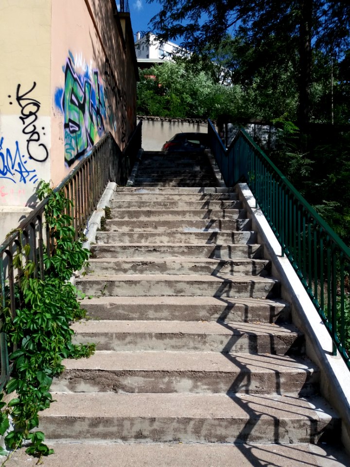 Lyon 4e - Montée Bonafous, escalier menant à la rue Justin Godart