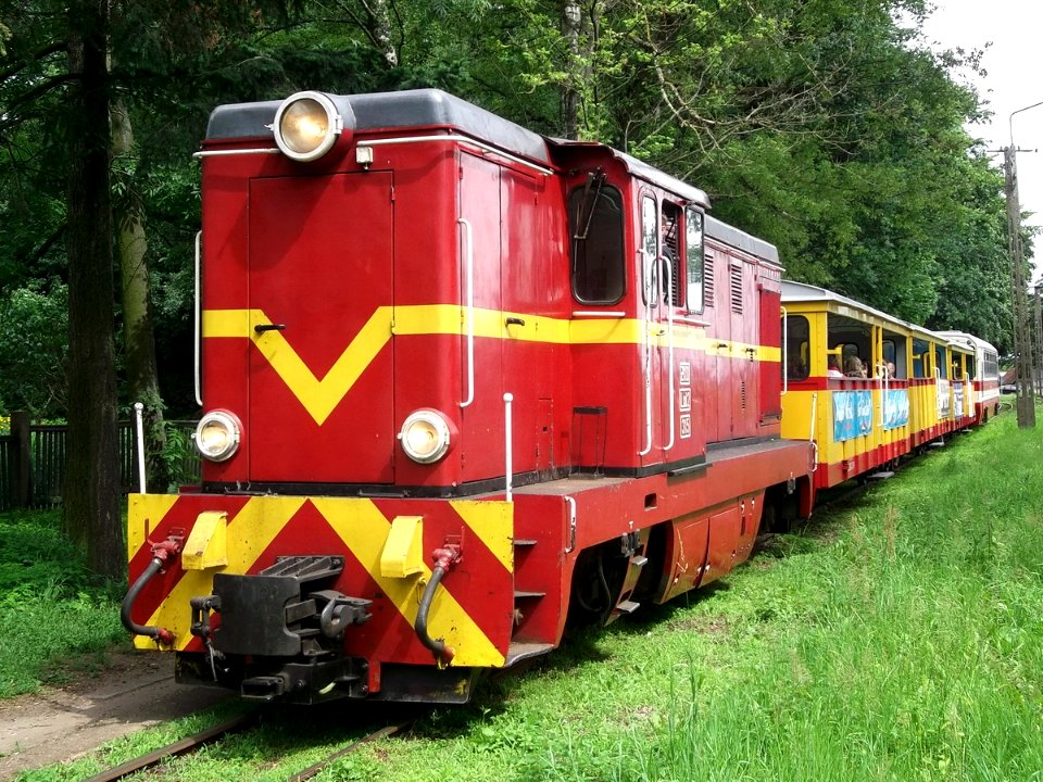 Lxd2-315, Polska, województwo pomorskie, szlak Stegna - Sztutowo, przystanek Sztutowo Muzeum (Trainpix 94838)