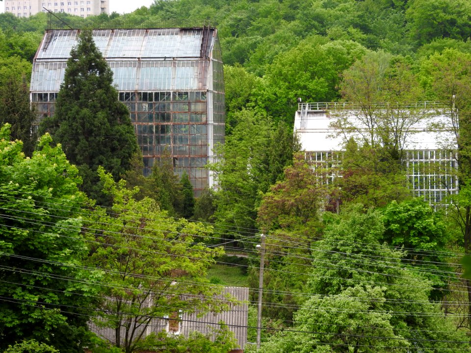 Lychakiv Cemetery 04