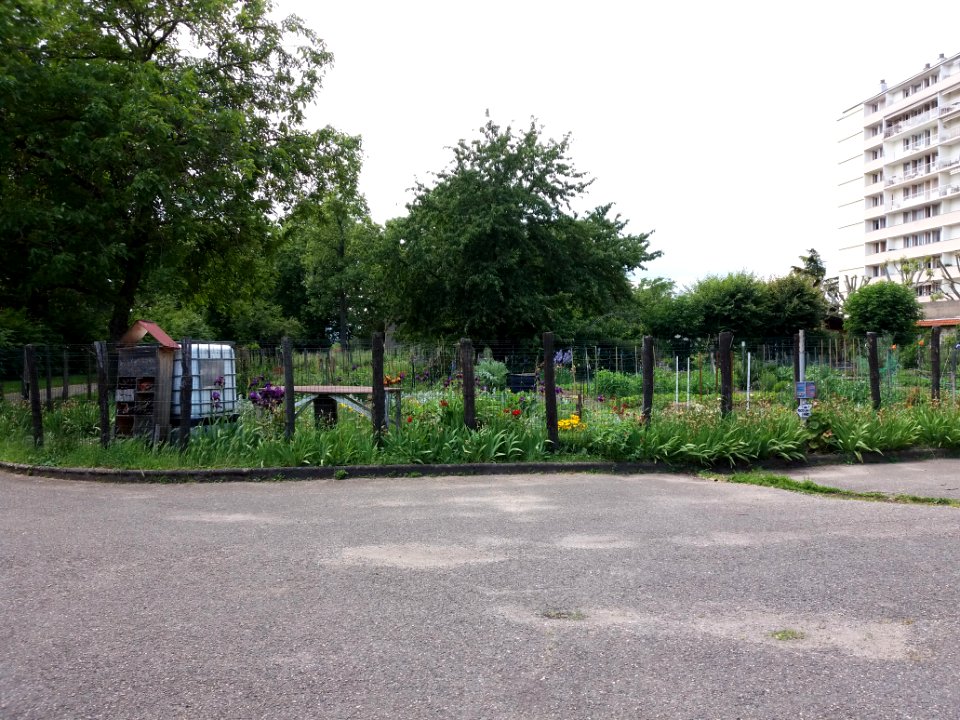 Lyon 4e - Parc Chazière, jardin partagé