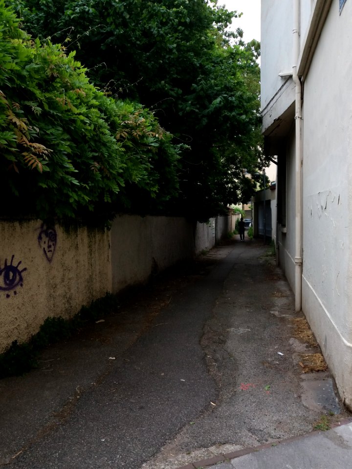 Lyon 4e - Passage Guillermier, depuis la rue Henry Gorjus