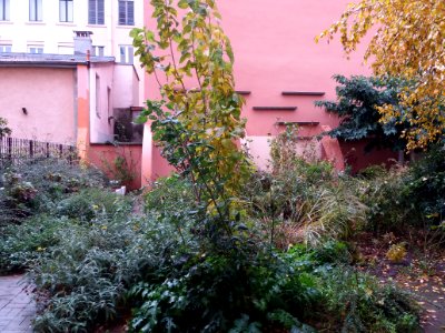 Lyon 4e - Rue d'Ivry, jardin Guylaine Gouzou-Testud, vers l'est