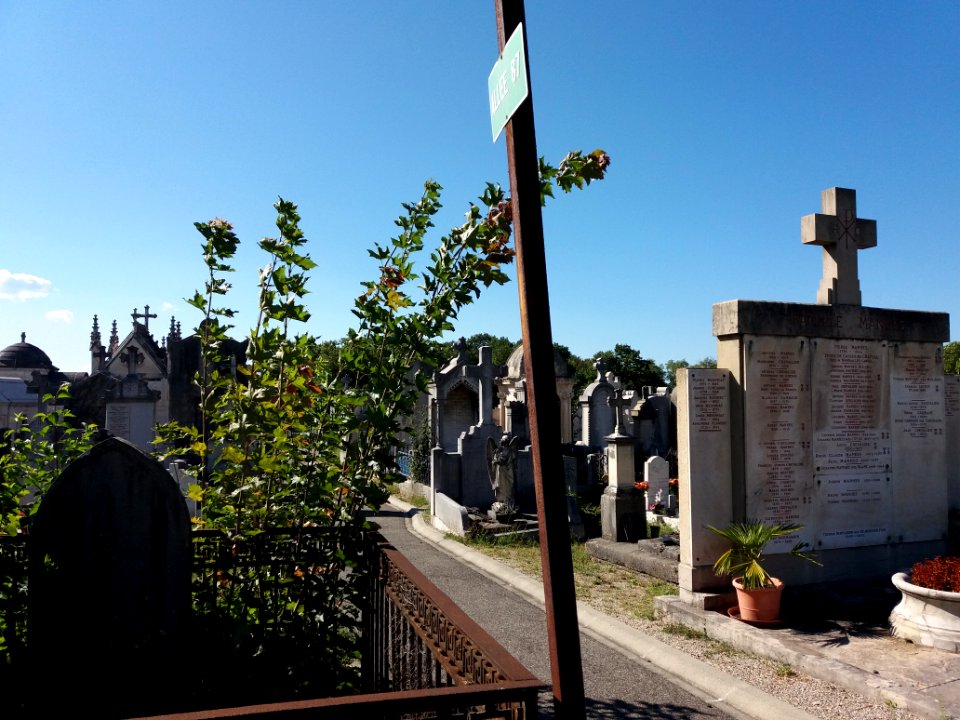 Lyon - Cimetière Loyasse - Allée 87