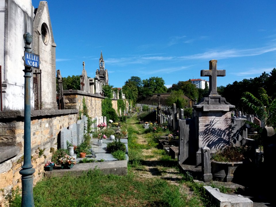 Lyon - Cimetière de Loyasse - Allée 68