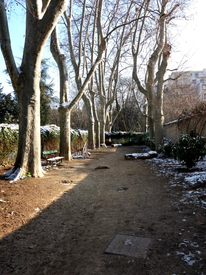 Lyon 4e - Parc Francis Popy - Allée d'arbres avec banc