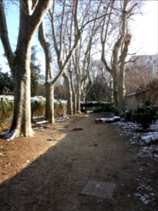 Lyon 4e - Parc Francis Popy - Allée d'arbres avec banc