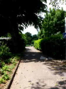 Lyon 4e - Parc Chazière, allée depuis la rue Chazière