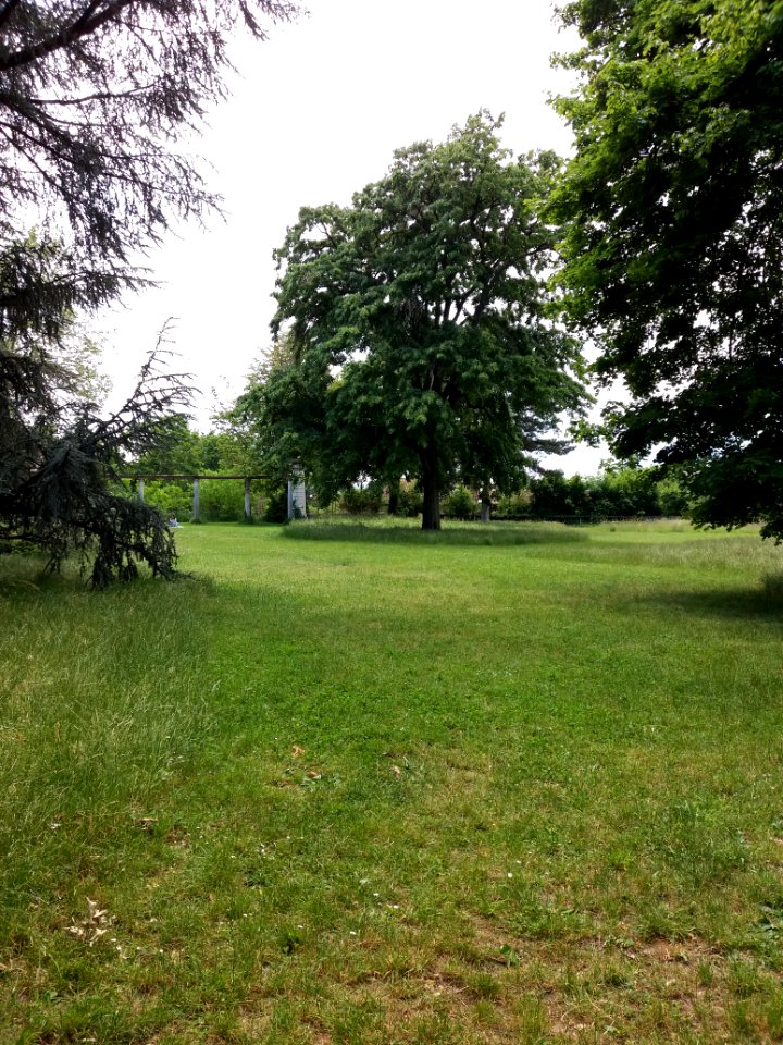 Lyon 4e - Parc Chazière, parc (1)