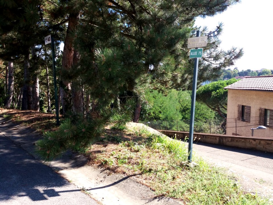 Lyon - Cimetière de Loyasse - Section C 43, allée 75, pente du Clos Lièvre