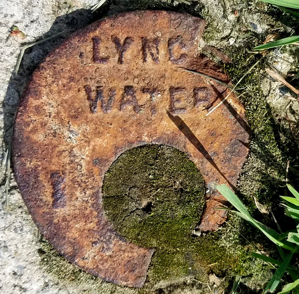 Lync Water - Arlington, MA - 20200714 091452