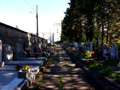 Lyon - Cimetière de Loyasse - Carré Saint-Just